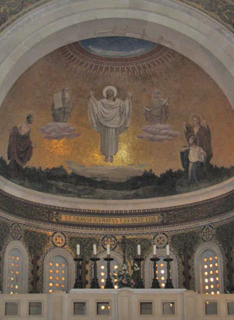 Transfiguratus (foto: Marek Tęczar)